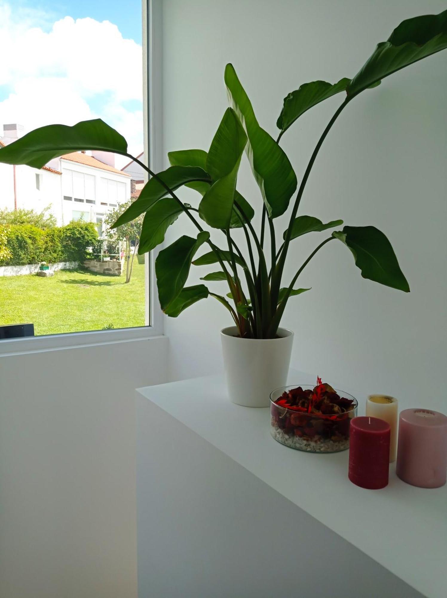 Casas Turisticas Lar Jardin - Parking Privado Santiago de Compostela Exteriör bild