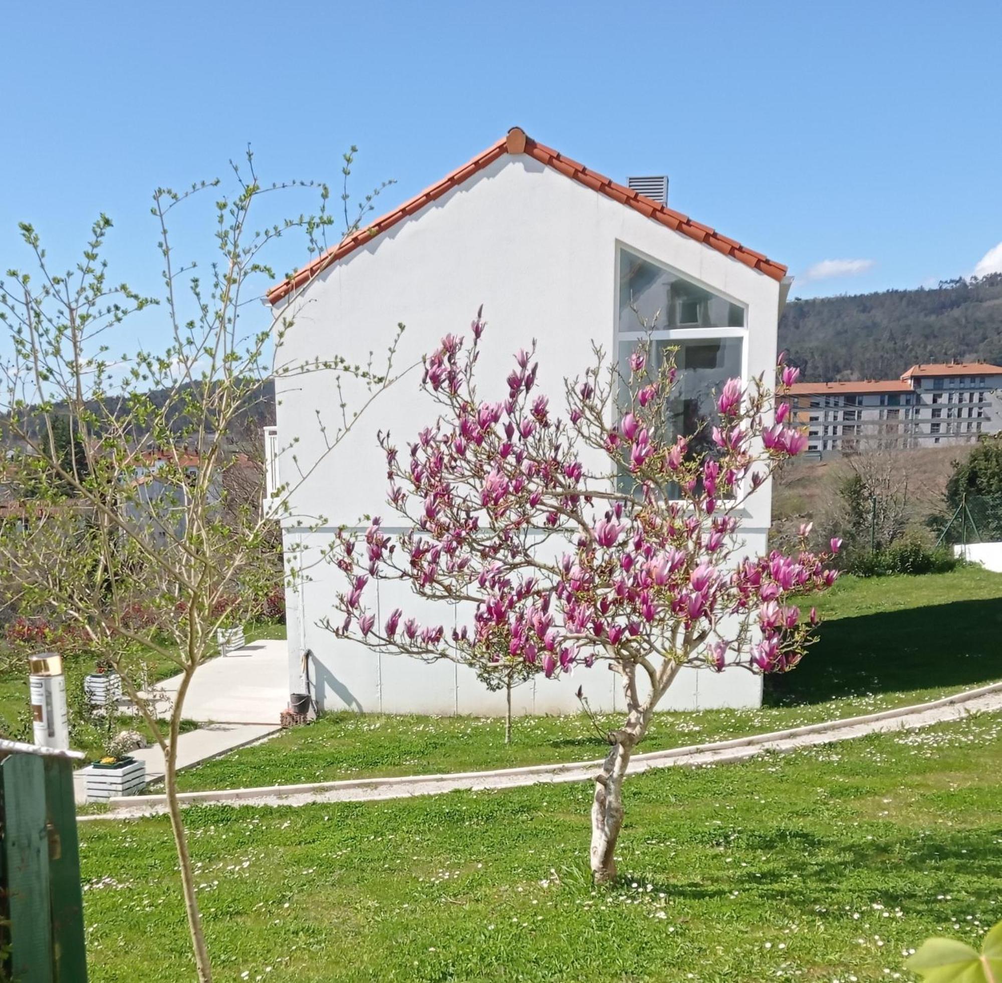 Casas Turisticas Lar Jardin - Parking Privado Santiago de Compostela Exteriör bild